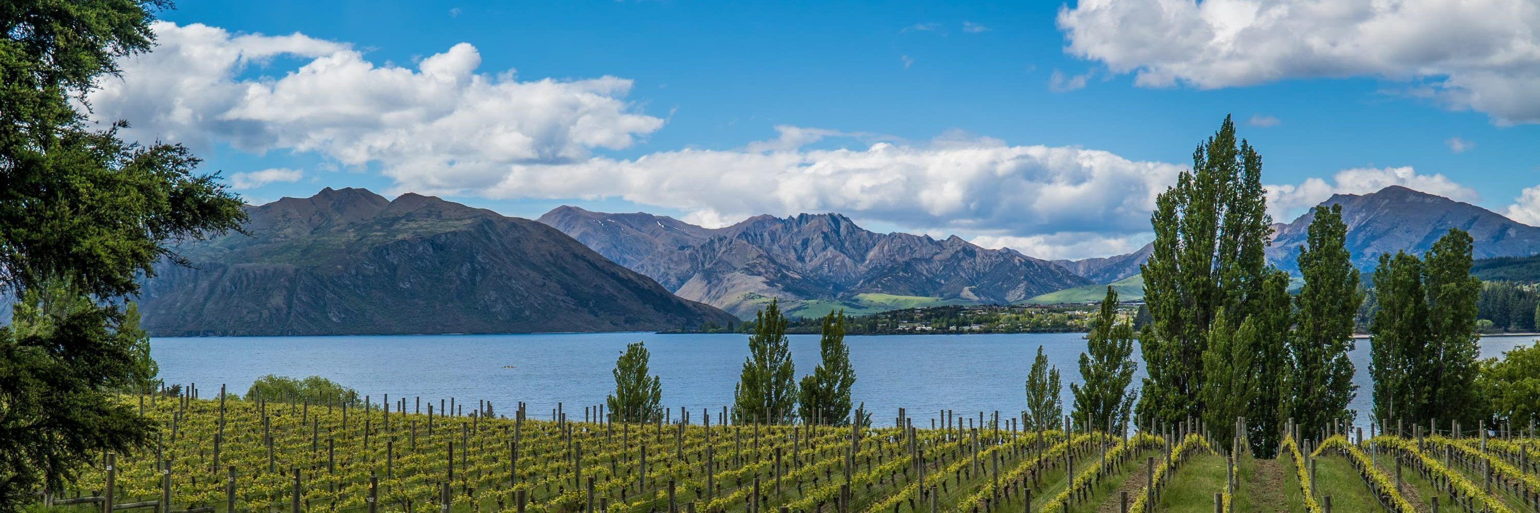 Book Lakeshore Springs Wanaka
