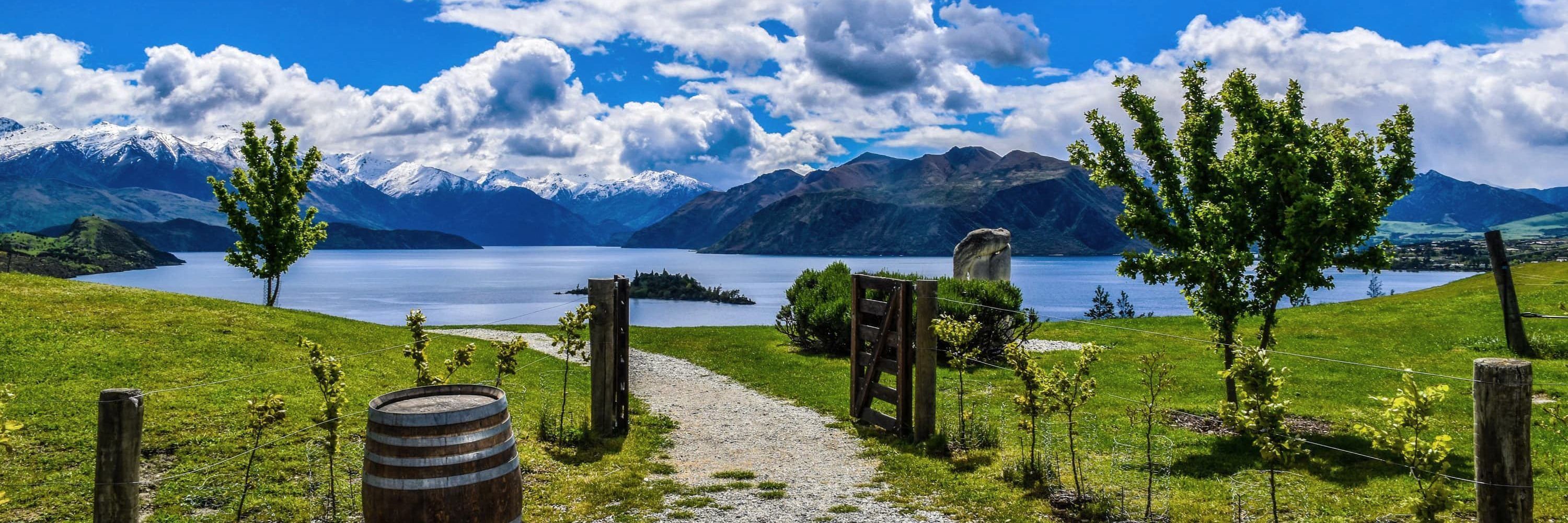 Wanaka & Queenstown Gallery Lakeshore Springs Wanaka